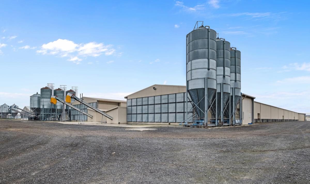 YMAKO poultry farm project — automated layer cage installation in commercial house