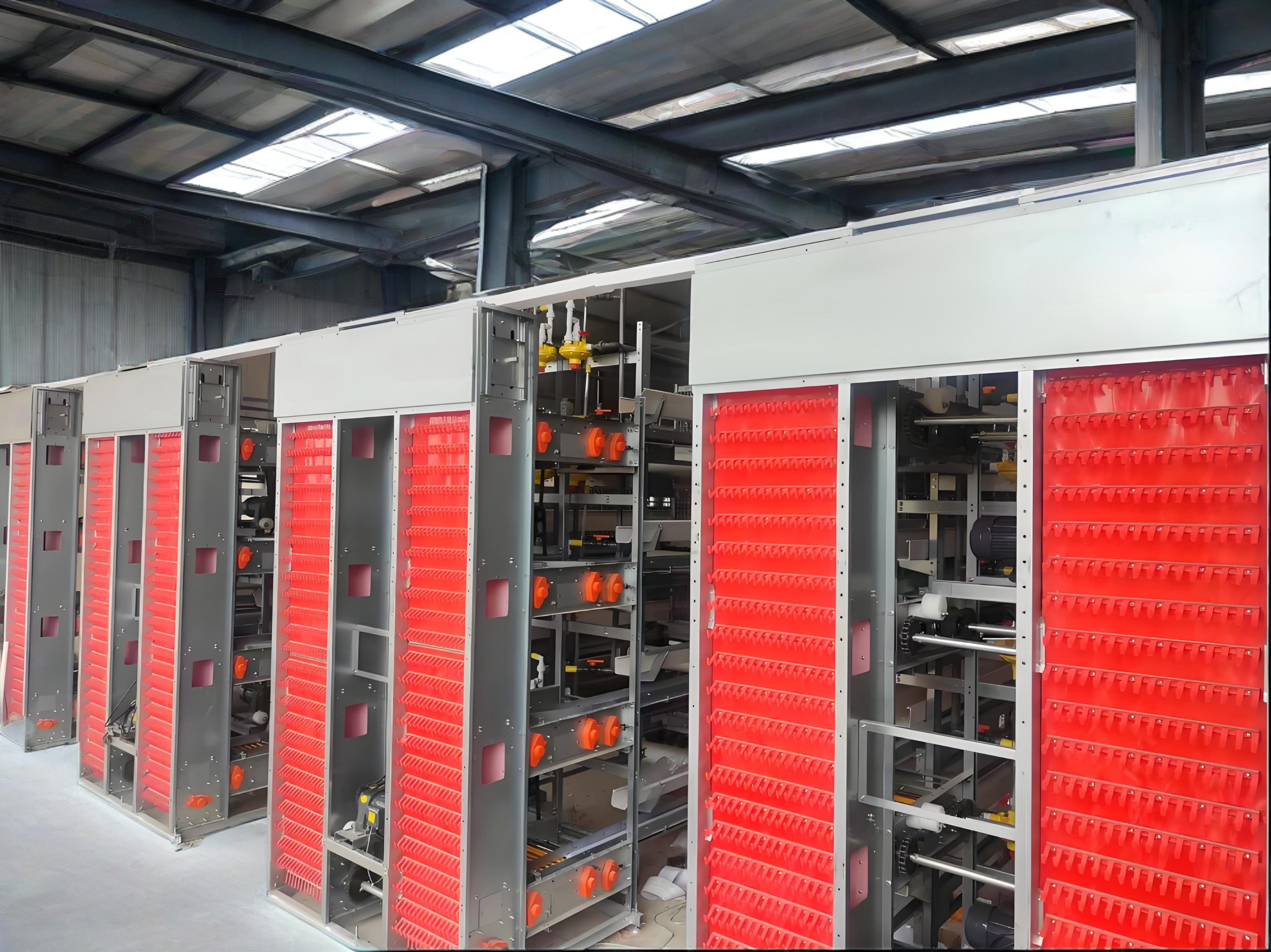 Egg Collection System