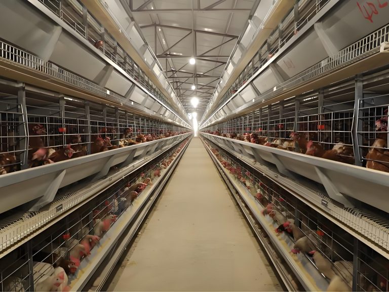 Pioneering a Global Benchmark for Livestock Equipment! The Completion of Big Herdsman’s Phase II Manufacturing Base and Global R&D Center in Jiaozhou!