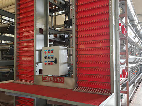 Egg-Collection-System04