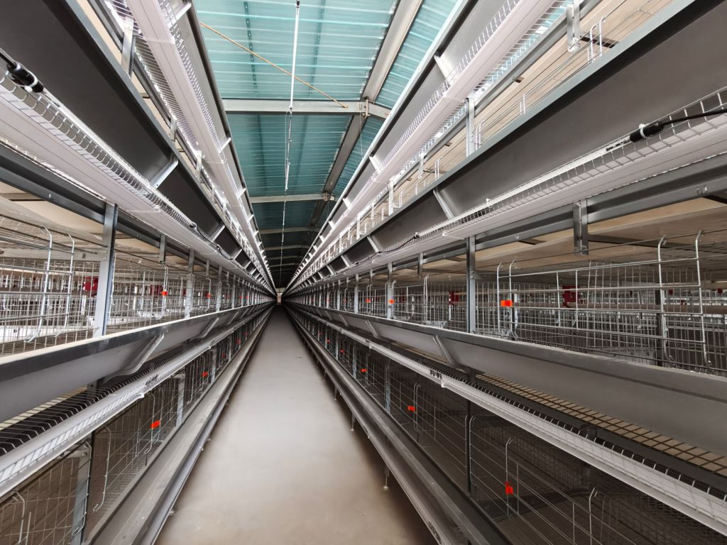 Multi-layer chicken coop delivery - chicken farming equipment - ymako