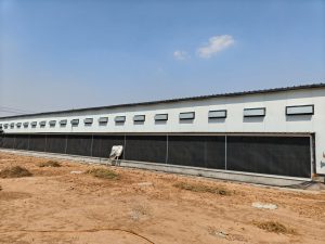 Chicken coop exterior water curtain - chicken farming equipment - ymako