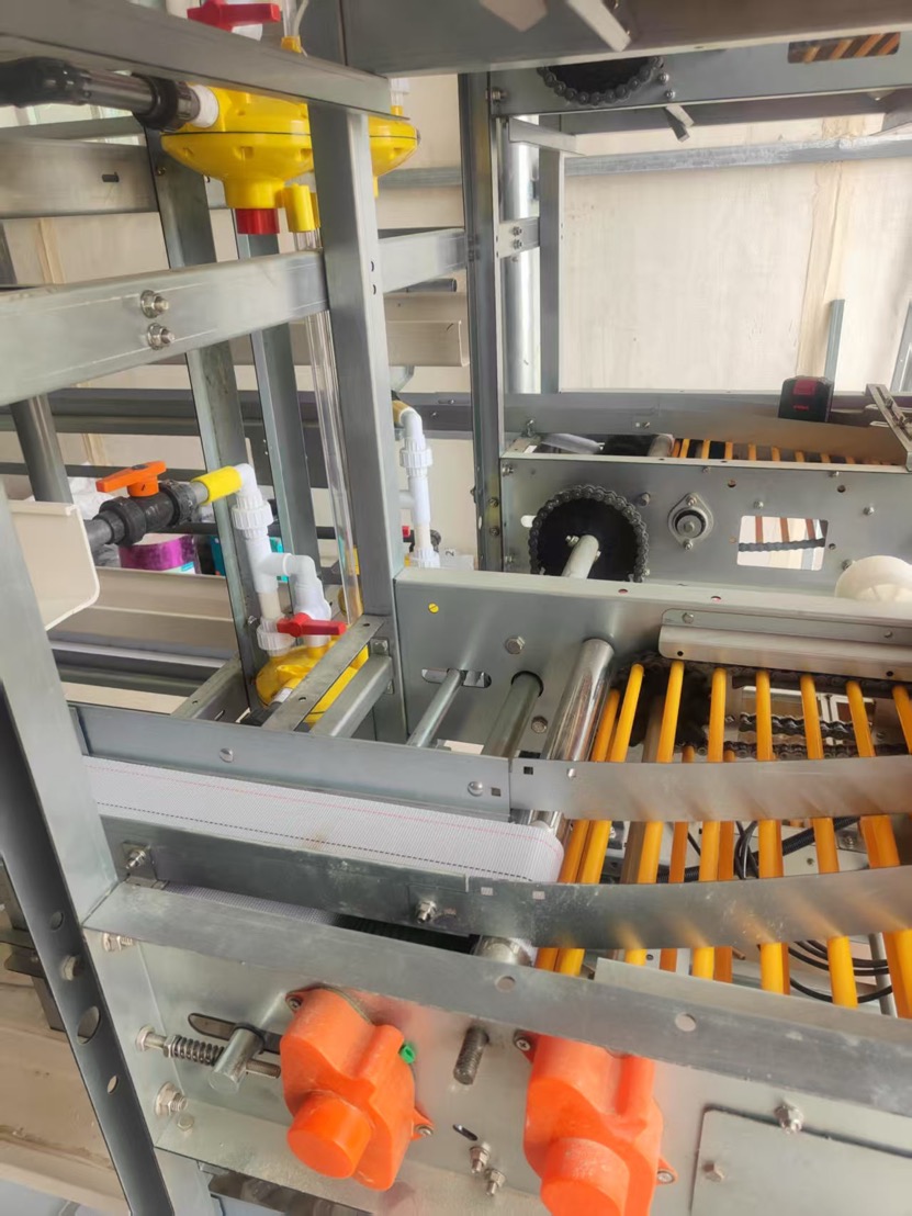 Feed bin and gear motor that drives the chain conveyor