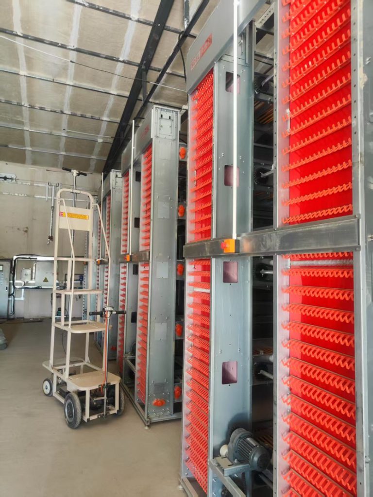 Automatic Egg Collector - Chicken Farming Equipment - ymako