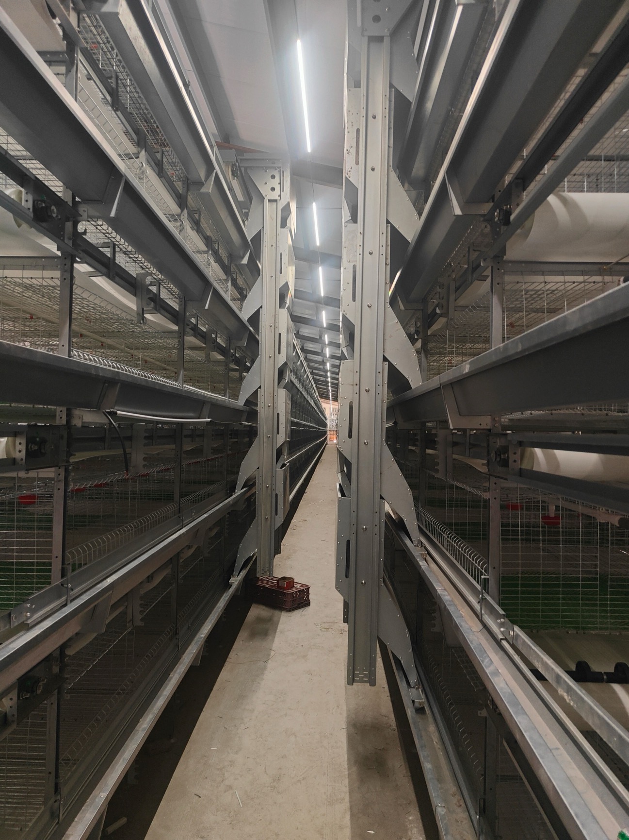 Automatic Feeding - Chicken Farming Equipment - ymako