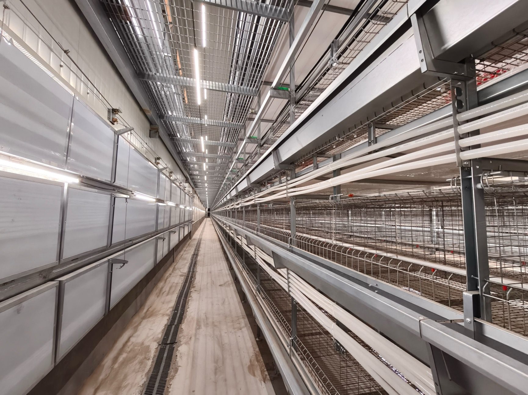 Complete YMAKO 50,000-bird commercial layer complex with tunnel ventilation