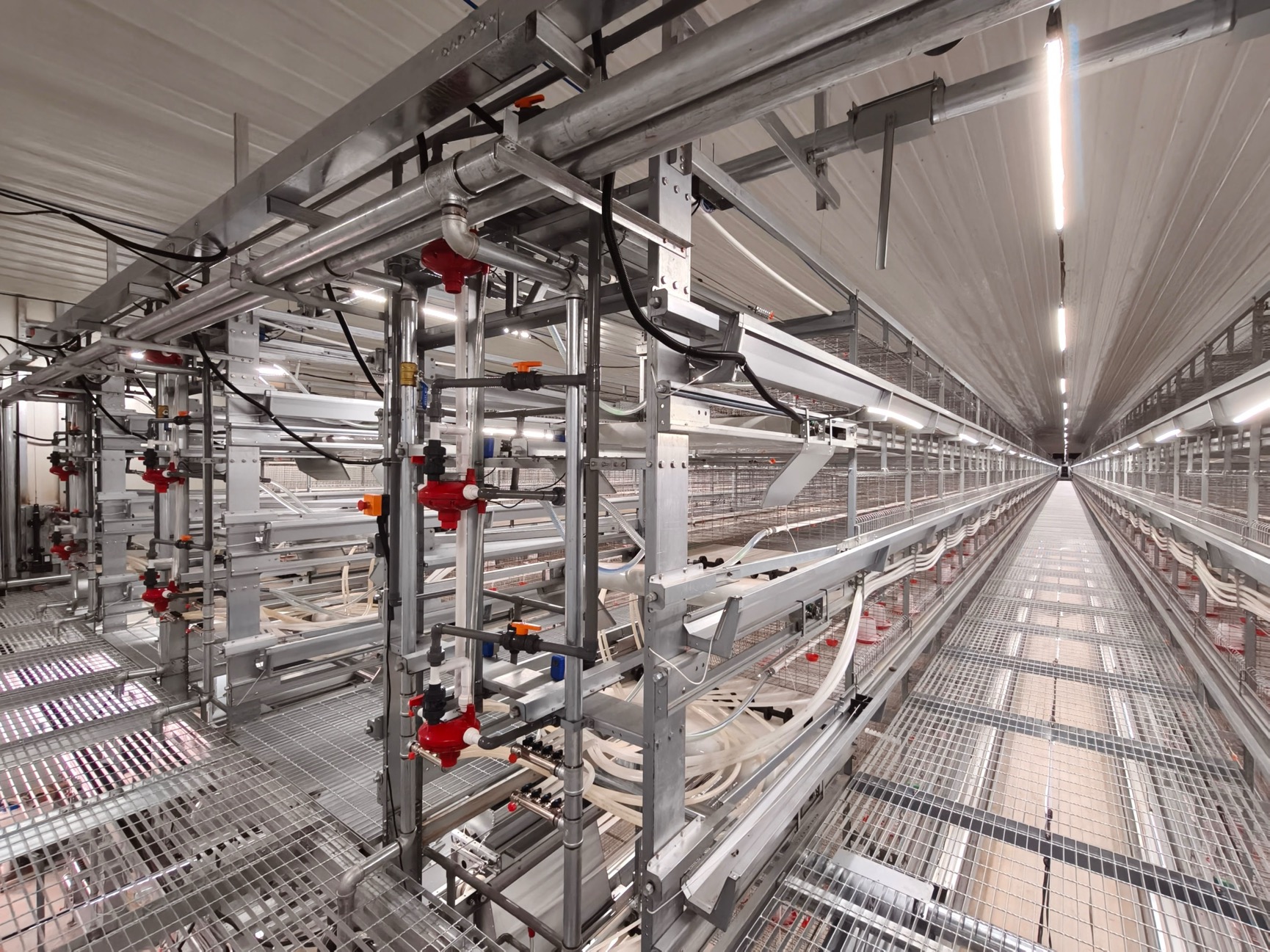 YMAKO H-type 4-tier layer cage installation in a closed poultry house