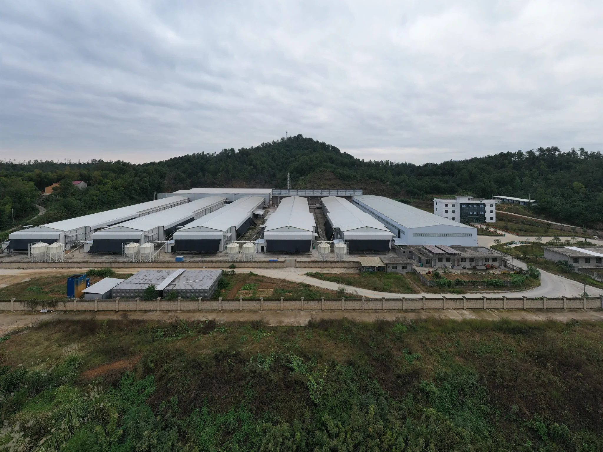 Poultry farming equipment - ymako