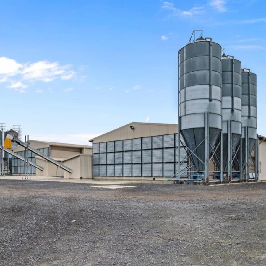 003470d7-9815-486d-9b8a-1fd7b8f09572-w