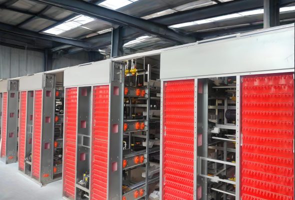 Egg Collection System