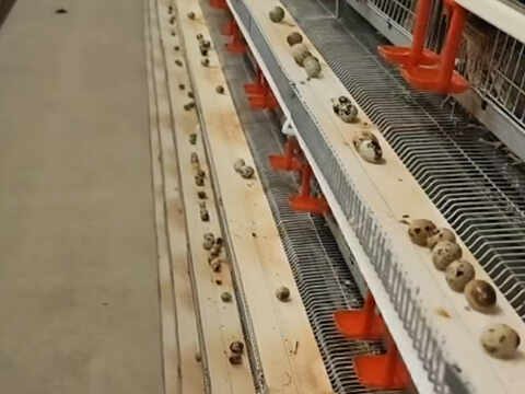 Automated farming equipment supplier -ymako