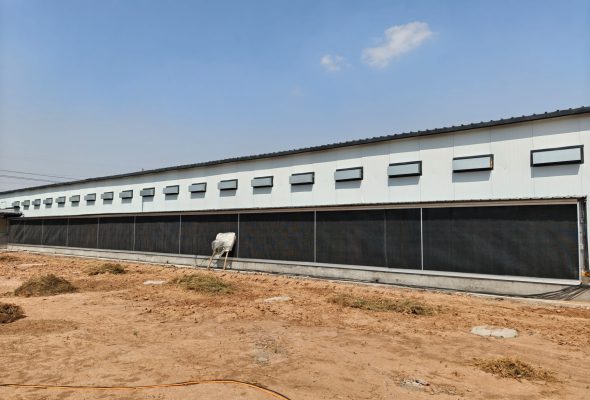 chicken coop construction exterior