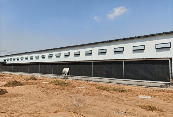 chicken coop construction exterior