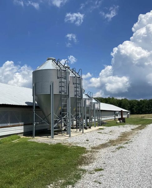 automatic feeding system