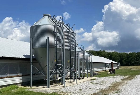 automatic feeding system