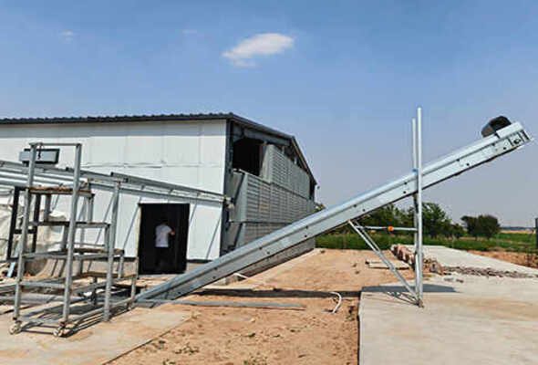 Manure-Conveyor-System01-ymako