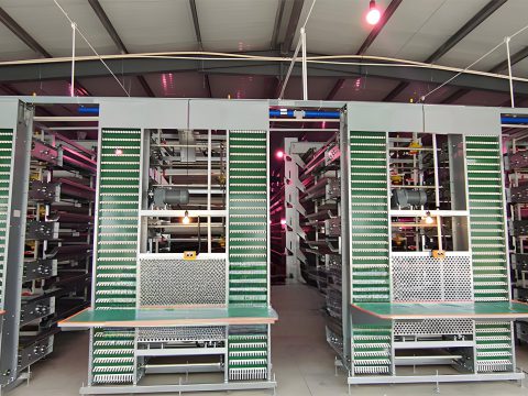 Quail cage breeding equipment