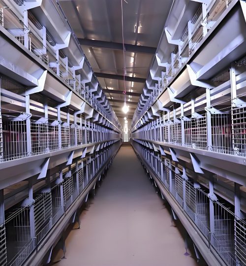 Broiler cage system control cabinet Broiler cage system control cabinet