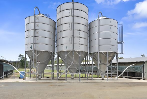 e0bc8261a905a5a3521e1d4d1e737811