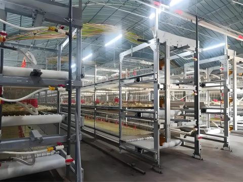 e0da5a4b-0655-4c66-9e09-3da47e48f4c3